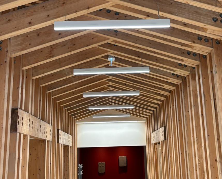507019_situ