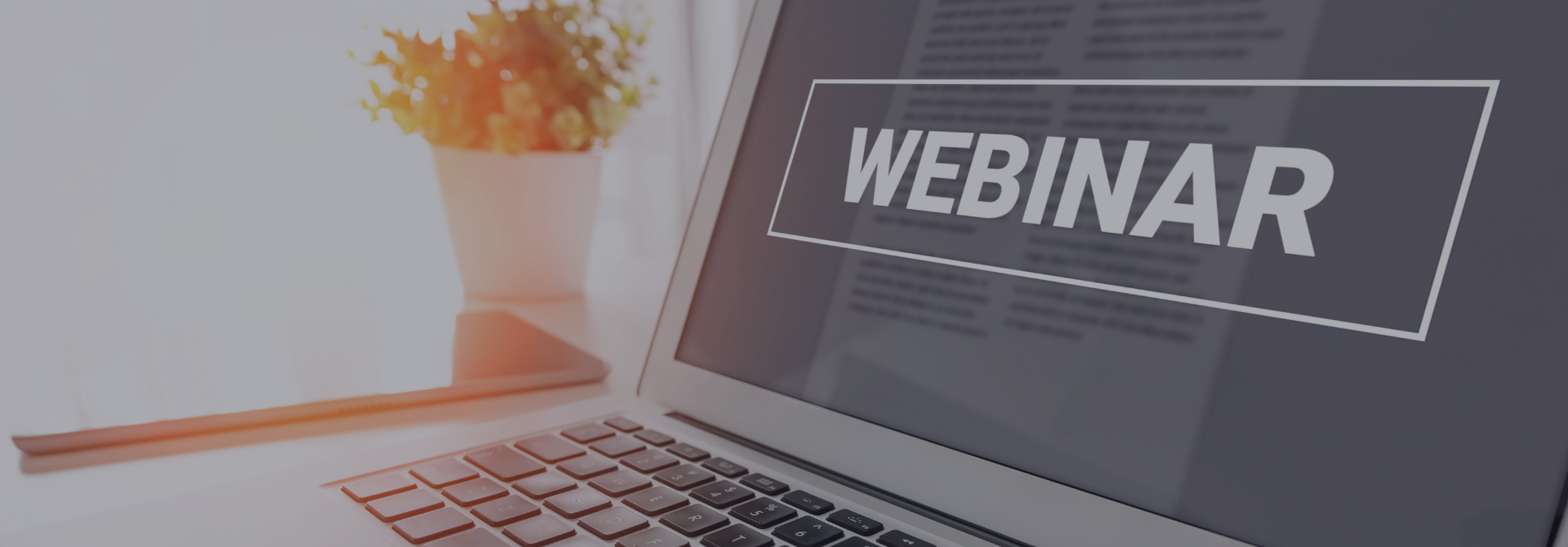 Webinar