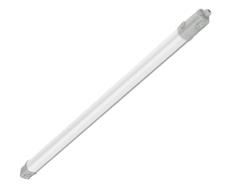 605203