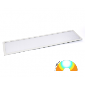 LED PANEL NU TW 3517lm BL 2700/6000K