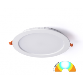 DOLED  NU 1701lm BL 2700K/6000K