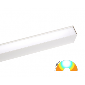 KREA TW PLAF 3740lm PRISM BL 2700-6000K