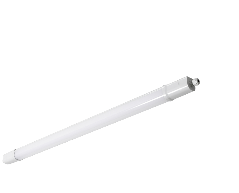 NOCLIP EVO605042