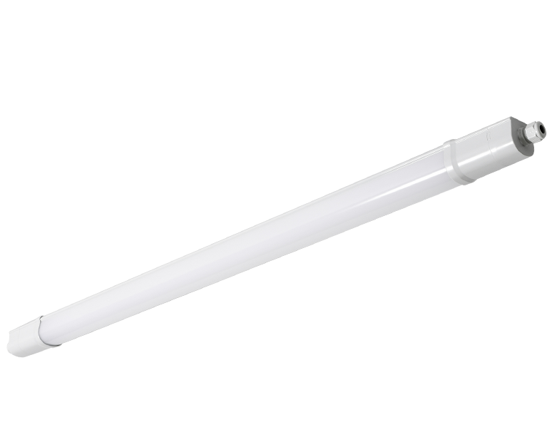 NOCLIP EVO605045
