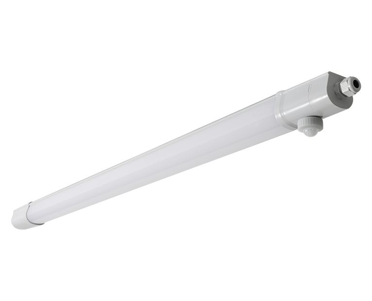 NOCLIP EVO605046