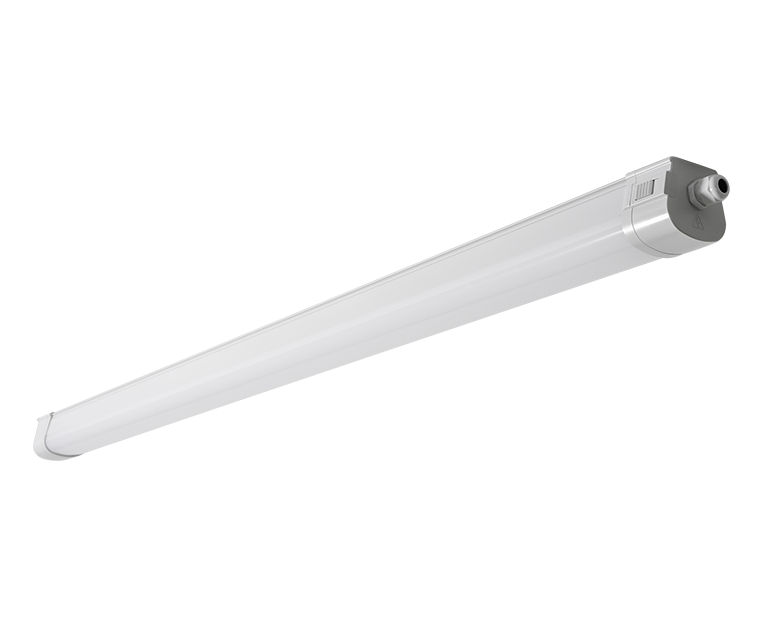 NOCLIP EVO605047