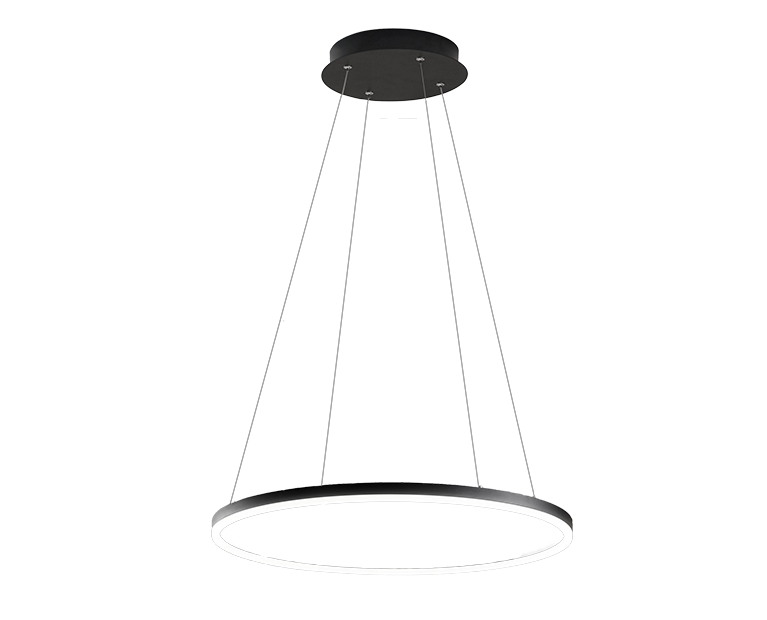 REGA RING795556