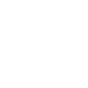icon instagram